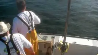 destiny giant tuna capt mike deskin