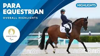 Para Equestrian Highlights | Paris 2024 Paralympic Games ❤️💙💚