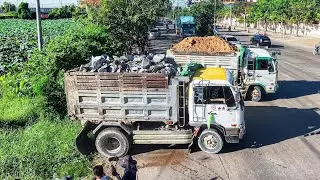 Wonderful START PROJECT LANDFILL BY Expert Skill Driver 5T Trucks unloading Rocksoil &Dozer Pushing