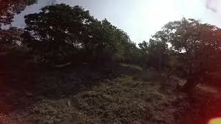 FPV in the Pilis Mountains