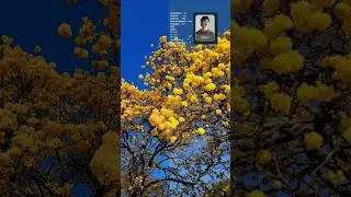 Filter iPhone keren di capcut