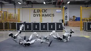 Humanoid Robot Oli's New Update in Action!
