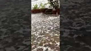 ACID RAIN Experiment! 😱⛈️