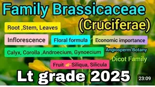 LT Grade 2025 | Family Cruciferae (Brassicaceae) | Mustard, Cabbage, Cauliflower | 