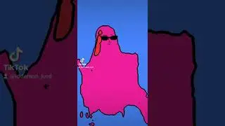 xzwwass sliv