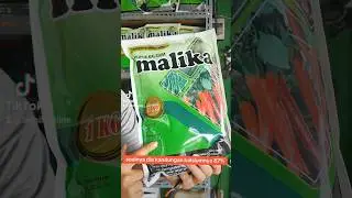 Rahasia tanaman KUAT anti rontok!#pupuk  #pupukbuah #pupukkalsium #malika #petanicabe #benihonline