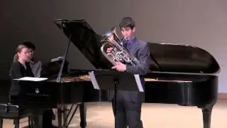 Gypsy Airs (Zigeunerweisen) - Aaron Rivkin