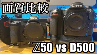 【時代に逆行な比較】D500とZ50の画質を再び、比べてみる。
