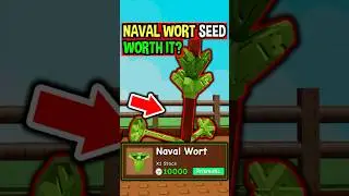 NAVEL WORT SEED in Grow a Garden..