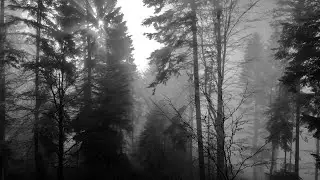 Strange Meeting -- Bill Frisell (cover)