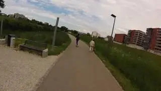 Nuithonie