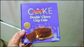 🎂 Britannia Double Choco Chip Cake Review | 250g Family Pack | Price, Taste & Honest Review in Hindi