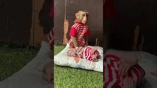 Mario sit care baby sleeping #trending #monkey #cute #animals #youtube #video #love #pets #baby