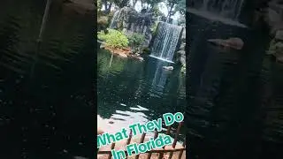 What They Do In Florida #floridaclassic #river #waterfall #florida #falls