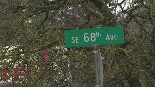 Foster-Powell neighborhood shooting