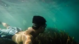 Barton Springs Underwater Adventure 2014