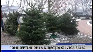 Pomi ieftini de la Direcția Silvică Sălaj