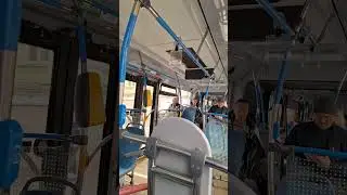 #Свободный_автобус_время_не_ПИК #апрель #news #travel #bus