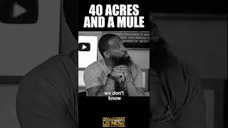 40 Acres & A Mule