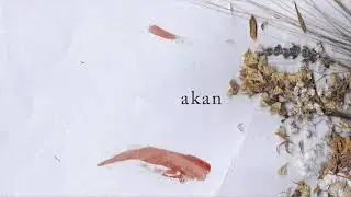 akan - Angan (Official Audio)