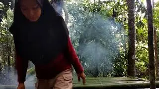 SOLO CAMPING OVERNIGHT MEMBUAT RUMAH POHON DIHUTAN DITERJANG HUJAN PETIR SUARA ALAMI