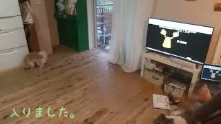 Rちゃんの初めて英会話 Lesson 22