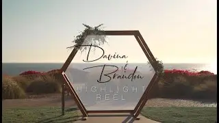 Davina & Brandon | Highlight Reel