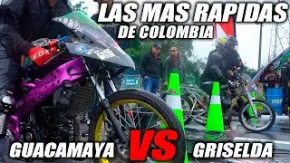 LAS MAS RAPIDAS DE COLOMBIA🛑Guacamaya 🆚 Griselda🛑Fullgass Cuarto de Milla Drag Race