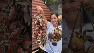 fresh catch mud lobsters and crabs 🦀 🦞