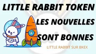 LES DERNIERES NOUVELLES DE LITTLE RABBIT COIN