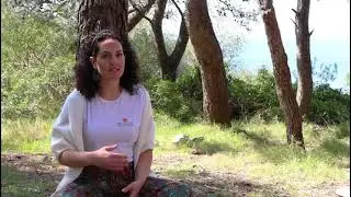 Cosa significa essere un Operatore Olistico?