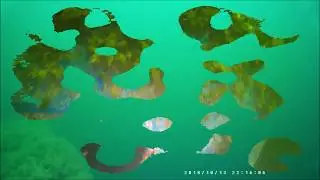 Scuba Diving at The Scuba Ranch