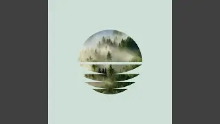 Pine Forest Rain