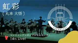 虹彩（丸本  大悟）