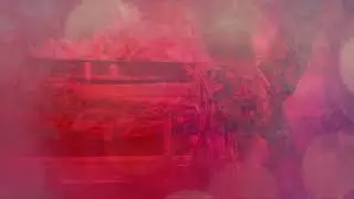 Wedding Invitation Background Video | No Text Background Video | Download Now