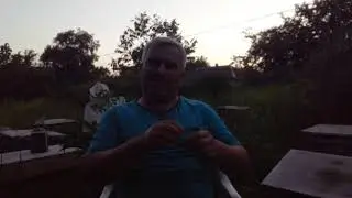 Bala çürüklüyü xəstəliyi