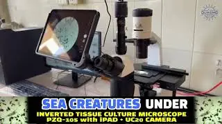 👁 LIVE DEMO at Hospital GUJRAT | INVERTED TISSUE CULTURE MICROSCOPE 🔬 #gujrat #seacreature #sea