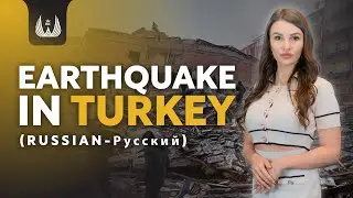 землетрясение в Турции | Fortune Group Global