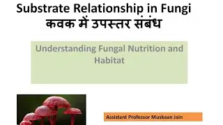 Substrate Relationship in Fungi
