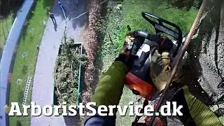 Dump container slide line - Tree rigging - Tree removal - Tr&aelig;f&aelig;ldning - Tree Climbing Arborist