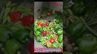 Multipurpose Fruits & Vegetables Washer Machine | Batch Type Bubble Washer | +91-9426088680