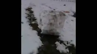 Leechpool Self Made Avalanche