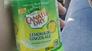 Lemonade GINGER ALE Review