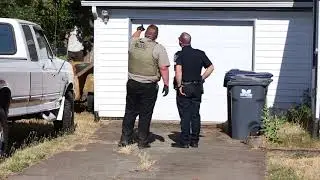 Cougar killed in Springfield