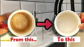 Coffee Stain Removal; how to clean your stained mug
