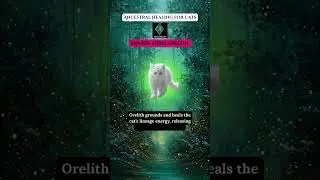 Dragon Angel Orelith Healing Cats | NorangeliX Pet Energy Healing | Ancestral Healing for Cats