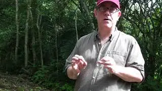 David Stuart Compliments Takeshi Inomata for Aquateca Archaeology lecture