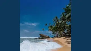 Summer Inspiring Tropical
