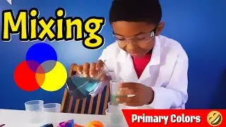 DIY Color Mixing Lab! 🎨🌈 Learn Primary & Secondary Colors (Fun Science Experiment)