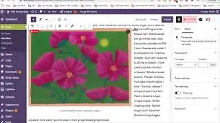 Wrapping Text Around an Image in WordPress Gutenberg